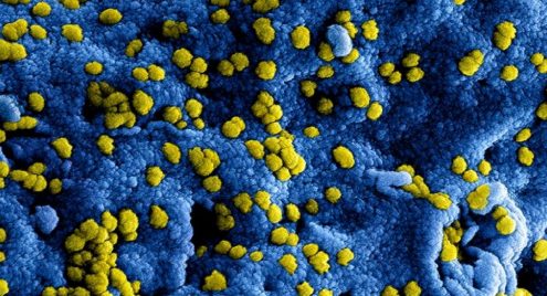 Update coronavirus