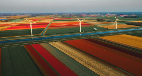 Nederlands leren: Waarom beginnen en hoe start je?